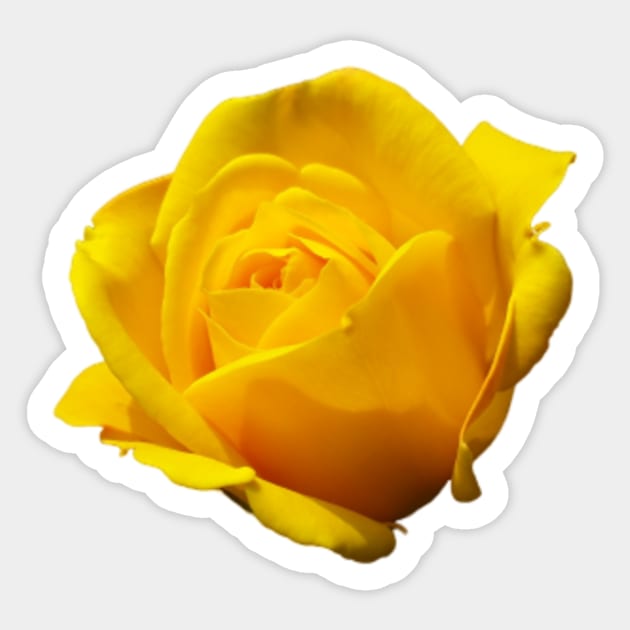 Yellow Rose of Texas Pattern Apparel Decor Fashion Sticker by BubbleMench